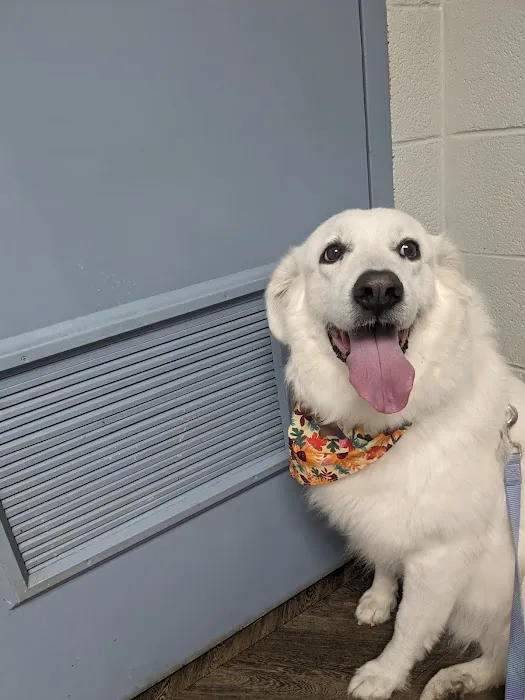 Roane Veterinary Hospital 6
