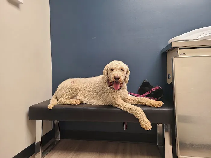 Roane Veterinary Hospital 9