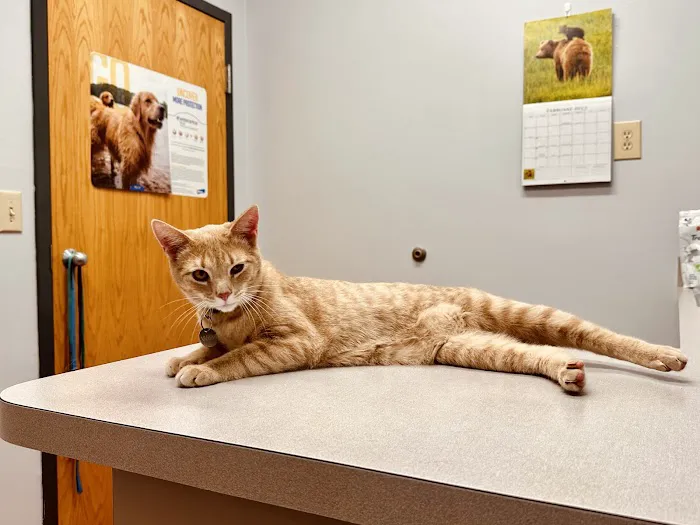 Animal Medical Center of Roane County 2