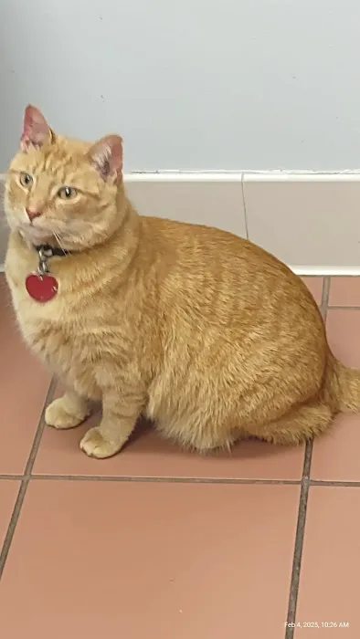 Animal Medical Center of Roane County 6