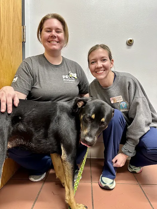 Animal Medical Center of Roane County 10