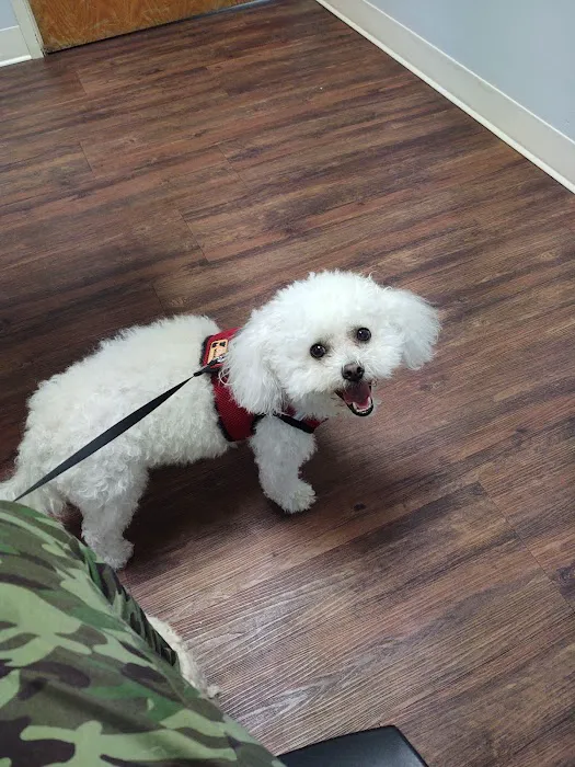 Admiral Veterinary Hospital 1