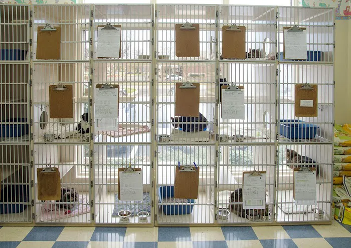 Concord Veterinary Hospital 7