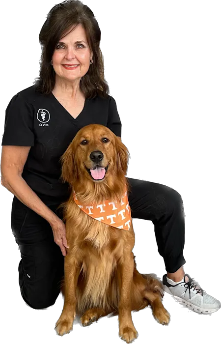 Lentz Veterinary Clinic 3
