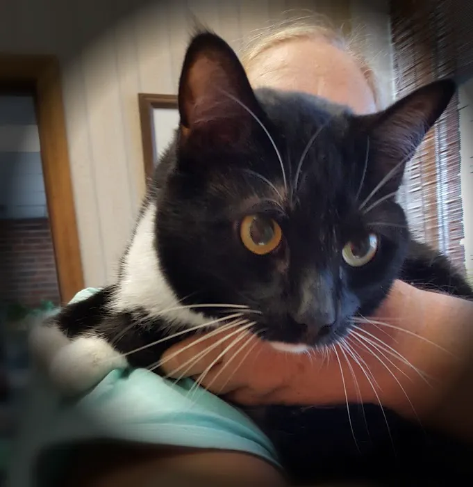 Lentz Veterinary Clinic 8