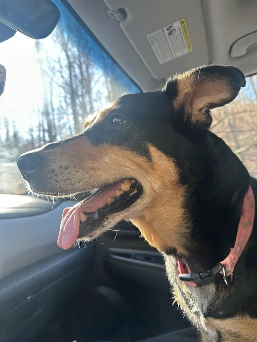 Northshore Animal Hospital 8