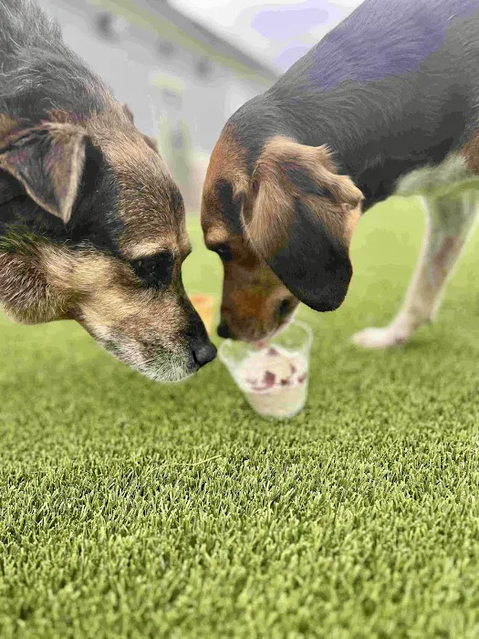Embassy Veterinary Center Westland 1