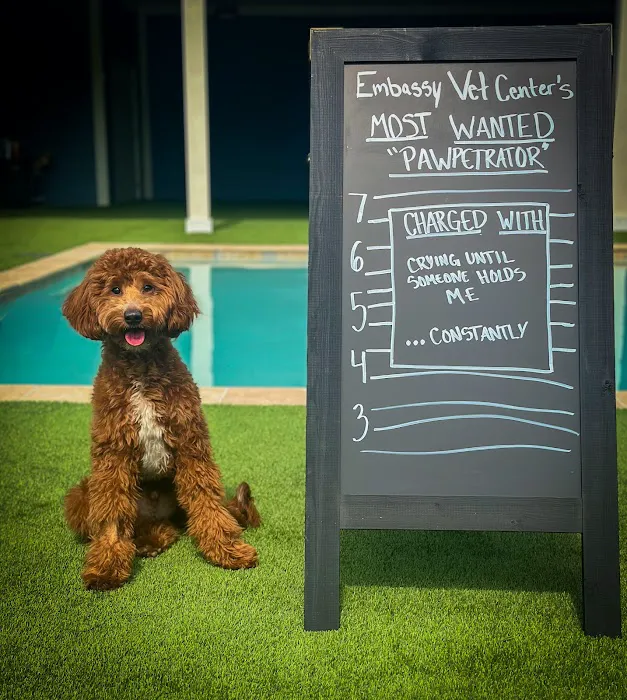 Embassy Veterinary Center Westland 7