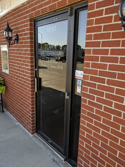 Town Veterinary Clinic 3