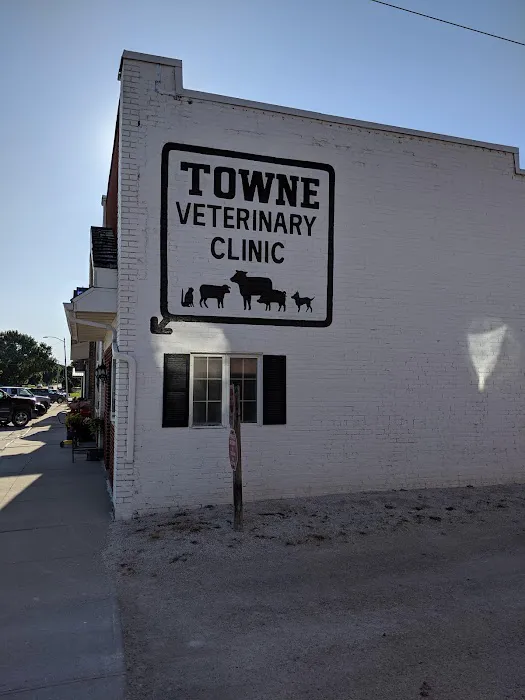 Town Veterinary Clinic 2