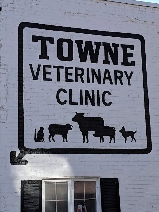 Town Veterinary Clinic 1