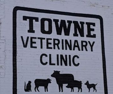 Town Veterinary Clinic