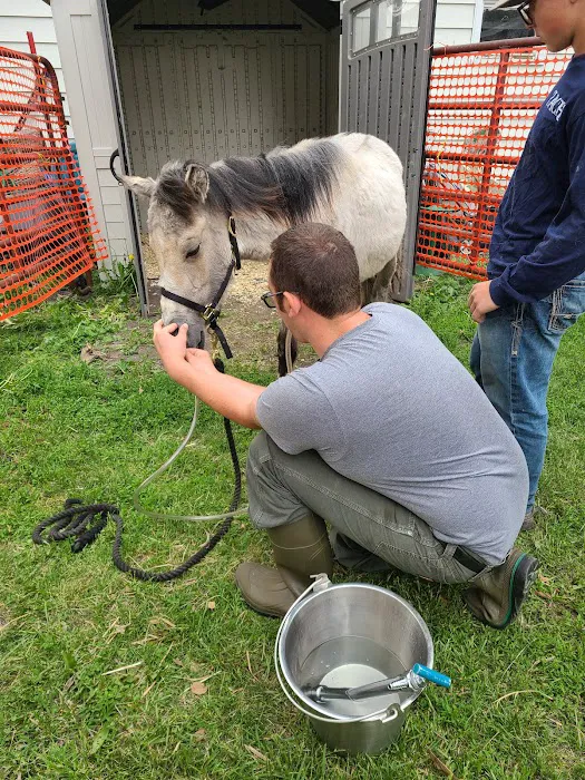 Swiss Farm Veterinary 1