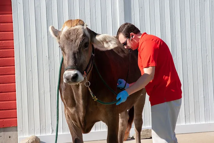Swiss Farm Veterinary 3