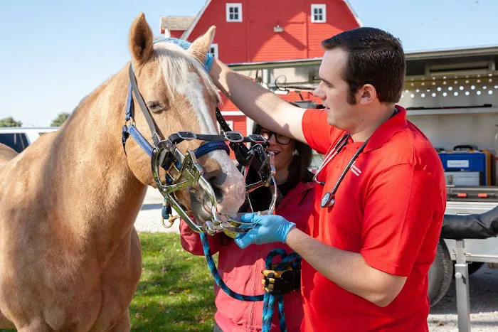 Swiss Farm Veterinary 2