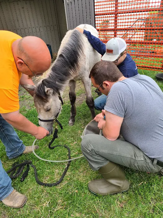 Swiss Farm Veterinary 9