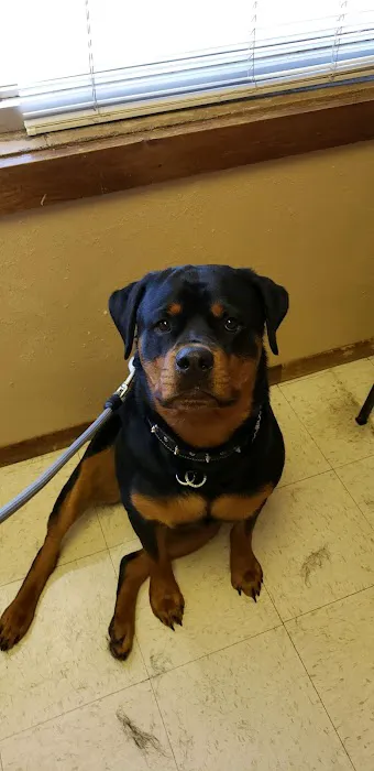 Helping Hands Veterinary Clinc 6