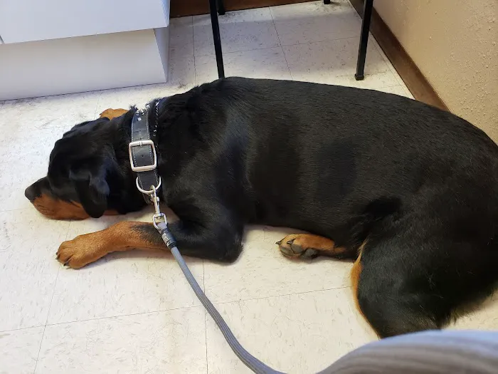 Helping Hands Veterinary Clinc 5