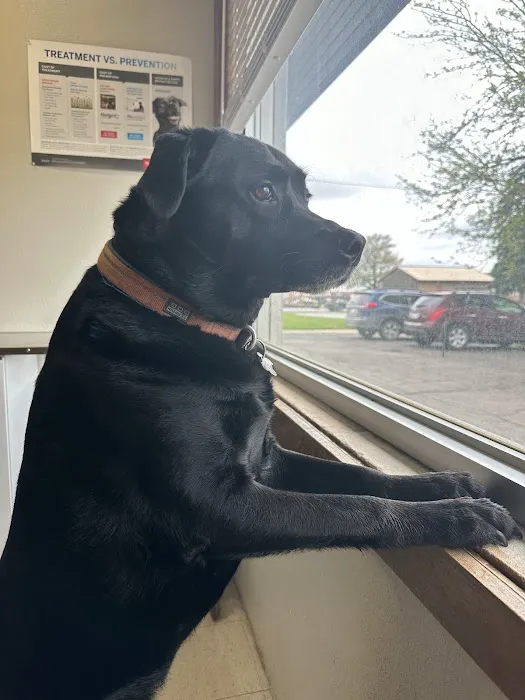 Helping Hands Veterinary Clinc 8
