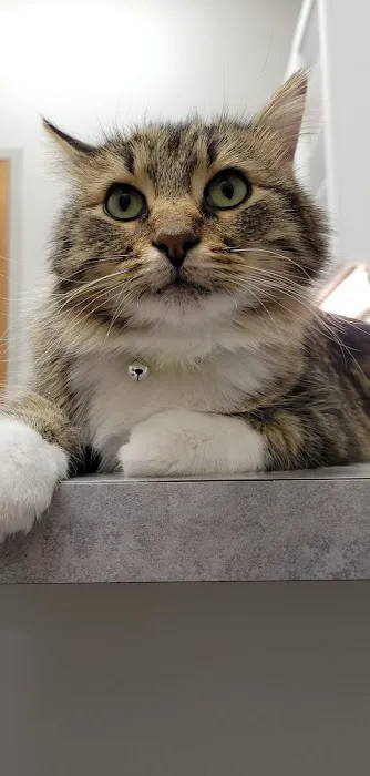 Boone Veterinary Hospital 6