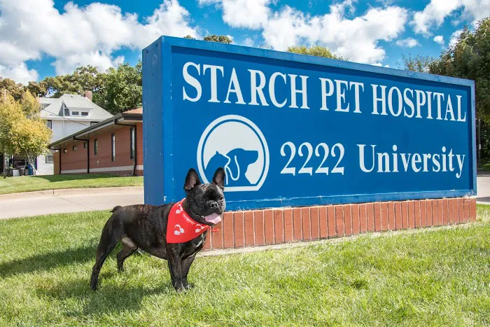 Starch Pet Hospital 3
