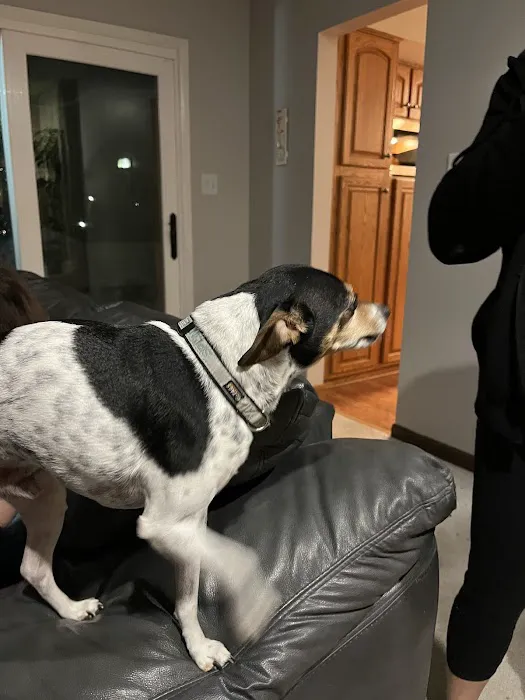 Iowa Veterinary Wellness Center 4