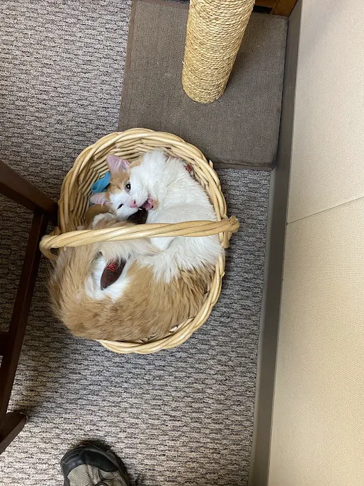 Iowa Veterinary Wellness Center 9