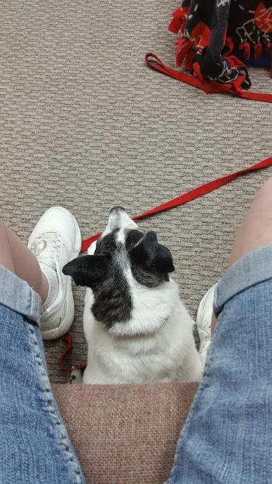 Iowa Veterinary Wellness Center 10