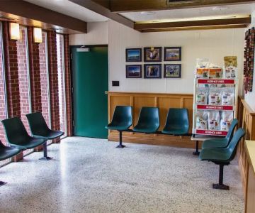 Beaverdale Veterinary Clinic / Riordan Pet Hospital