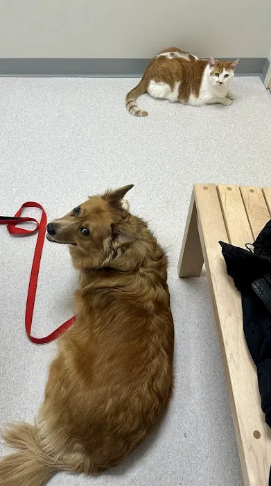 Beaverdale Veterinary Clinic / Riordan Pet Hospital 6