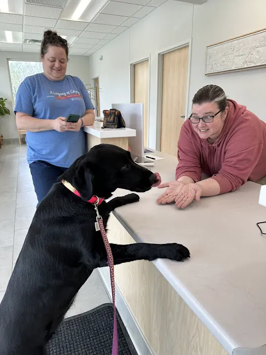 Beaverdale Veterinary Clinic / Riordan Pet Hospital 9