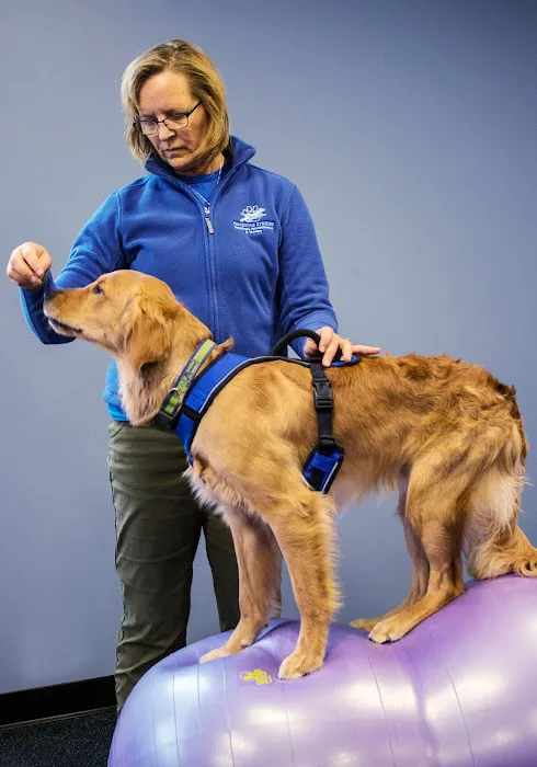 Pawsitive Strides Veterinary Rehabilitation & Therapy 1