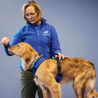 Pawsitive Strides Veterinary Rehabilitation & Therapy ico