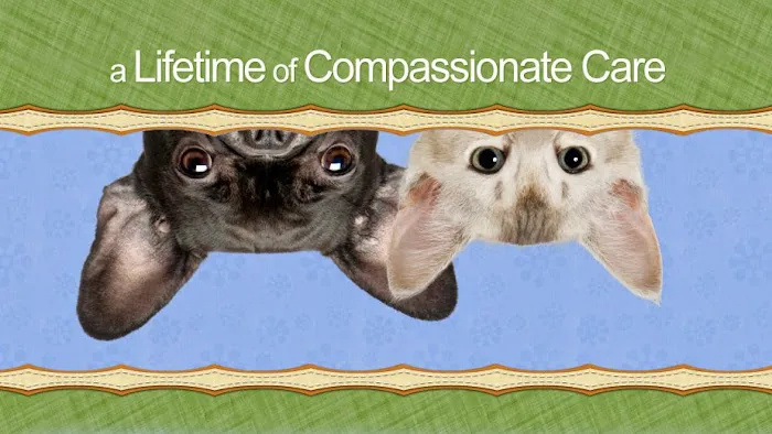 Ingersoll Animal Hospital 1