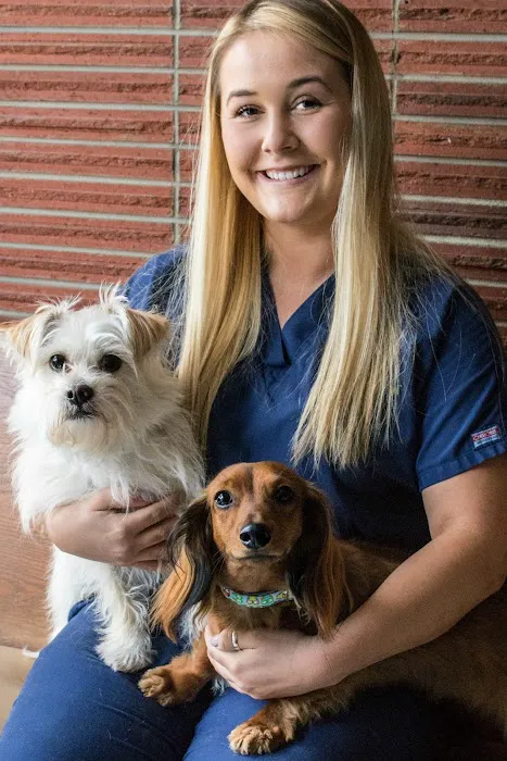 Ingersoll Animal Hospital 3