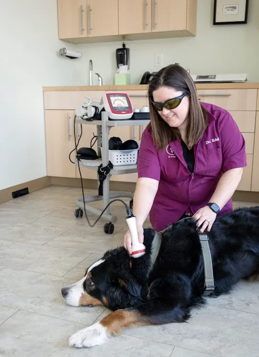 Heartland Animal Hospital 9