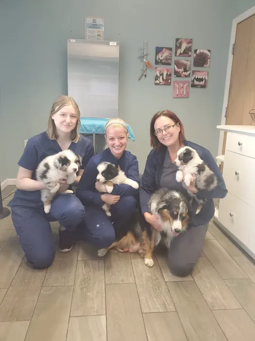Family Pet Veterinary Center 4
