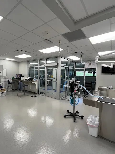 Iowa Veterinary Specialties 2