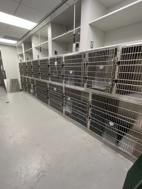 Iowa Veterinary Specialties 8