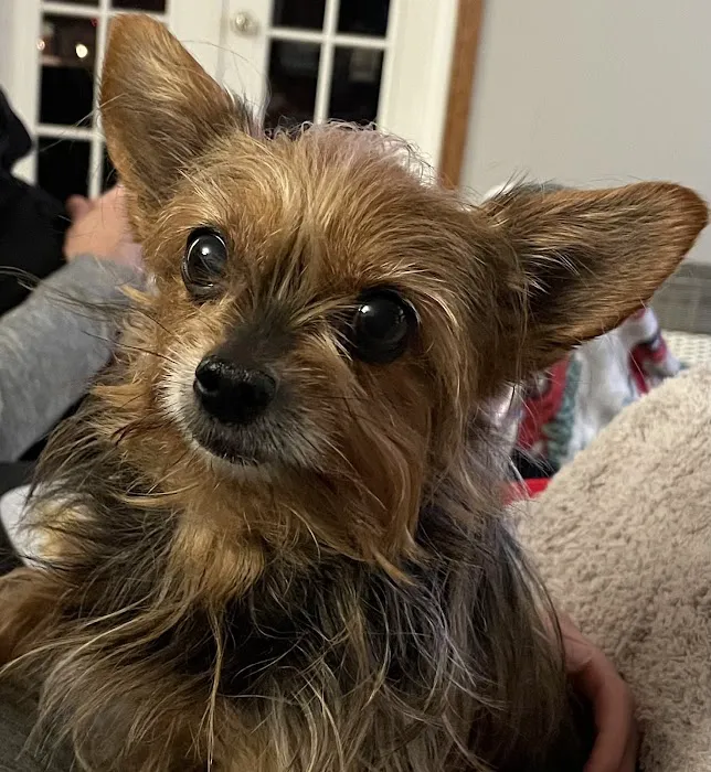 Kindness Pet Clinic 2