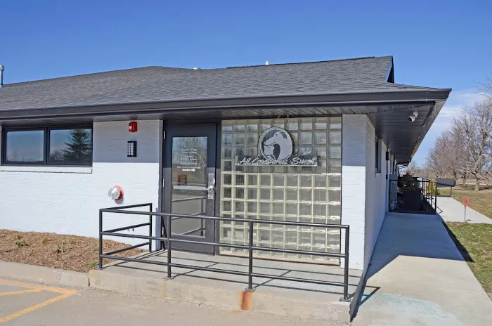 All Creatures Small Animal Hospital 3