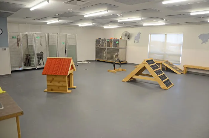 All Creatures Small Animal Hospital 2