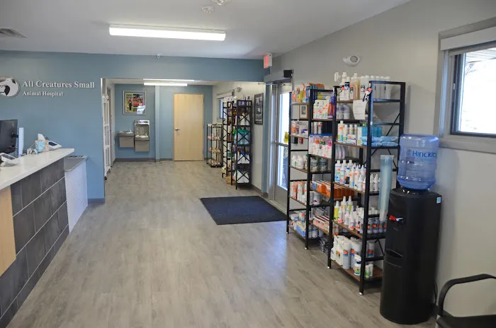 All Creatures Small Animal Hospital 5