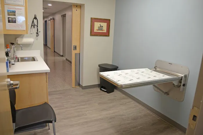 All Creatures Small Animal Hospital 9