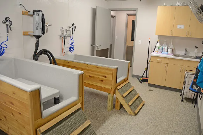 All Creatures Small Animal Hospital 6