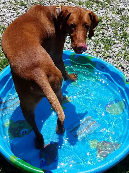 Albia Animal Clinic 6