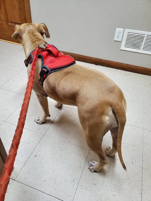 Thomas Veterinary Clinic 1