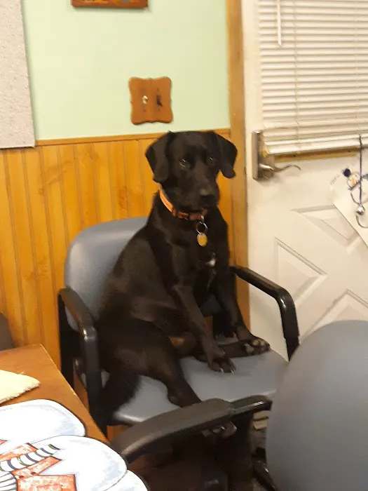 Thomas Veterinary Clinic 9