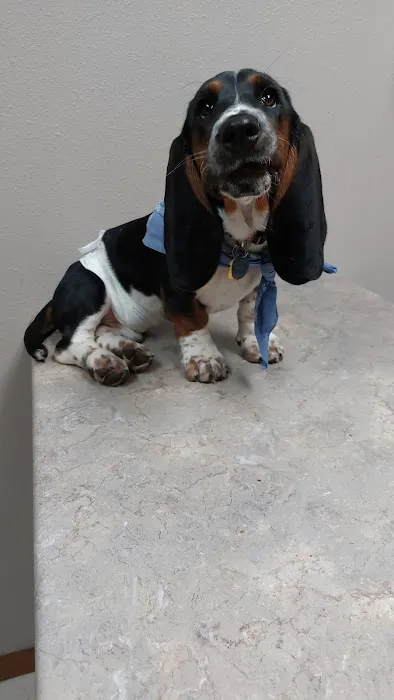Thomas Veterinary Clinic 7