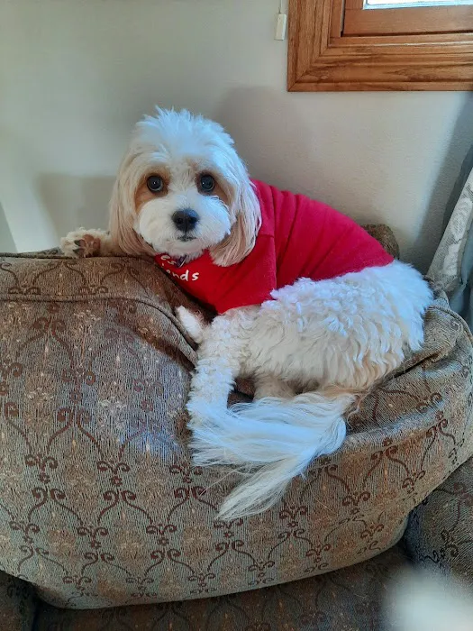 Eastview Animal Hospital 7